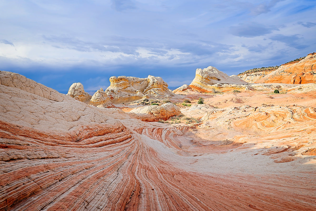 Spiraling red and cream sandstone banding at White Pocket, wind-carved rock domes rising beneath a moody sky