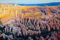 Rows of hoodoo spires filling the Bryce Canyon amphitheater like a stone choir, golden hour light against a pale cliff wall