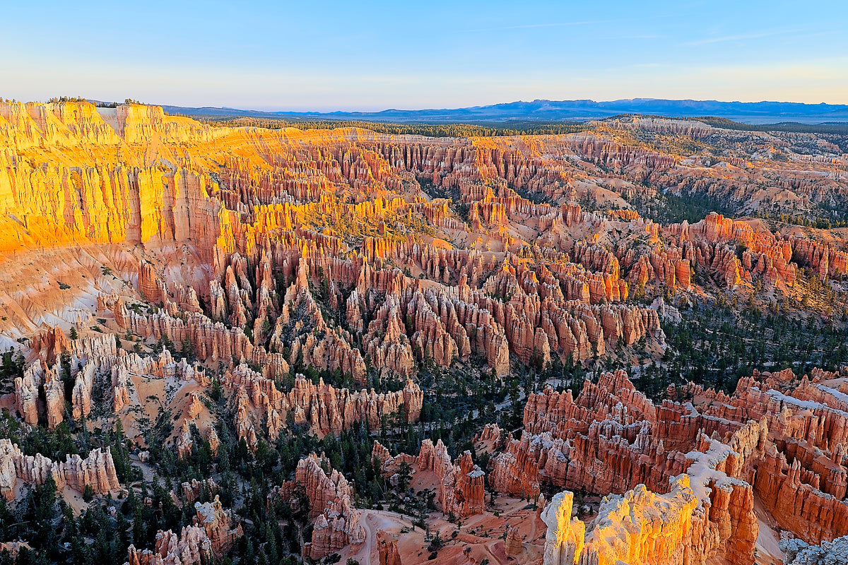 The Bryce Canyon amphitheater glowing gold at sunrise, thousands of hoodoos catching the low light beneath a clear sky