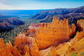 Vivid orange hoodoo spires rising vertically from the Bryce Canyon amphitheater, a forested valley receding beneath a clear blue sky