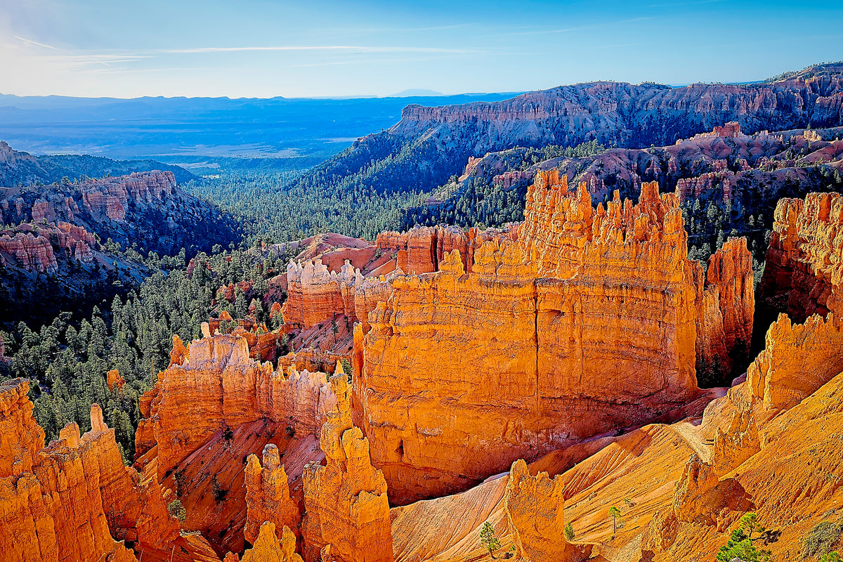 Vivid orange hoodoo spires rising vertically from the Bryce Canyon amphitheater, a forested valley receding beneath a clear blue sky