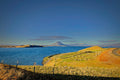 Sheep grazing on a grassy volcanic peninsula beside a still blue lake, a distant conical peak rising against a clear sky