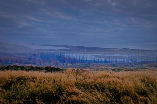 Golden autumn grass in the foreground giving way to a dark treeline and a still, misty lake under a heavy blue-grey Icelandic sky at dusk