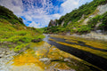 Sulfur-yellow mineral deposits streaking a geothermal stream bed between forested valley walls under a bright blue sky