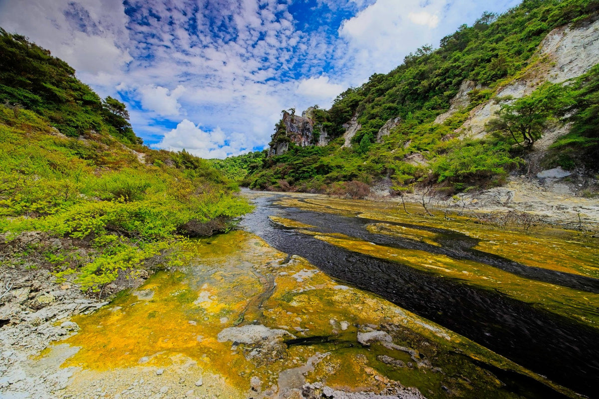 Sulfur-yellow mineral deposits streaking a geothermal stream bed between forested valley walls under a bright blue sky