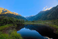 A still forest pond mirroring a glacial valley and snow-capped peak, lush rainforest along the mossy banks under a clear blue sky