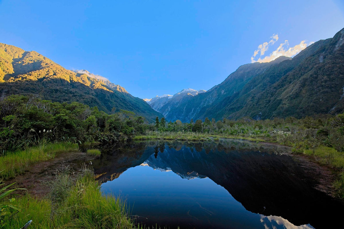 A still forest pond mirroring a glacial valley and snow-capped peak, lush rainforest along the mossy banks under a clear blue sky