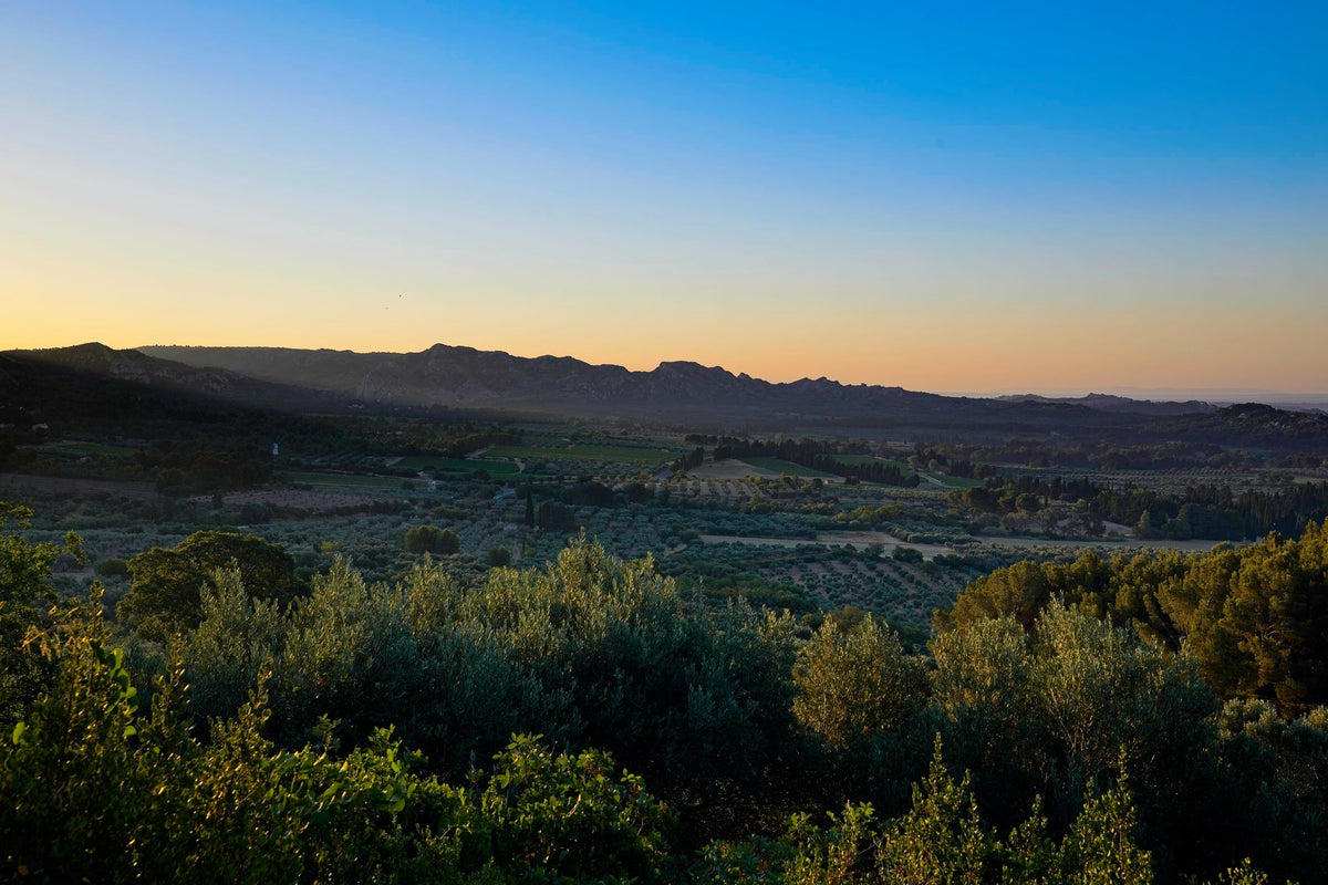 The Alpilles ridge in morning haze above a wide valley of olive groves and cultivated fields, deep blue sky over a warm horizon