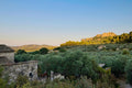 A stone mas and dry-stone wall below a silver-green olive terrace, with a ruined fortress catching gold light on the ridge above
