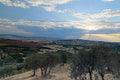 Shafts of evening light breaking through cloud over the valley, an olive grove silhouetted along the ridge