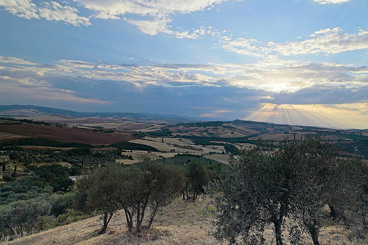 Shafts of evening light breaking through cloud over the valley, an olive grove silhouetted along the ridge