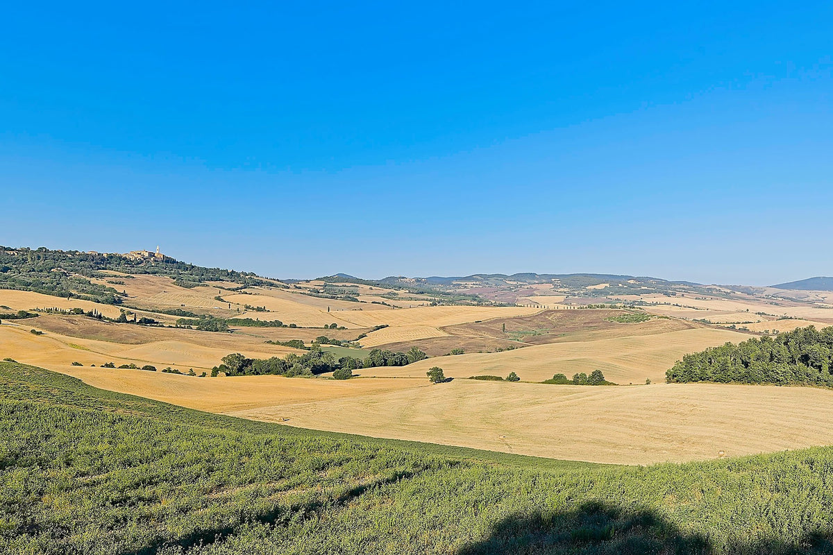 A wide Tuscan valley after harvest, pale shorn fields curving between green margins, a hill town on the far ridge
