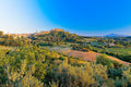 Montepulciano on its ridge against a deep blue sky, its tower above terraced slopes and vineyard rows