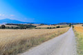 A white strada bianca running straight to the horizon between wheat and worked field, a hill town small in the distance