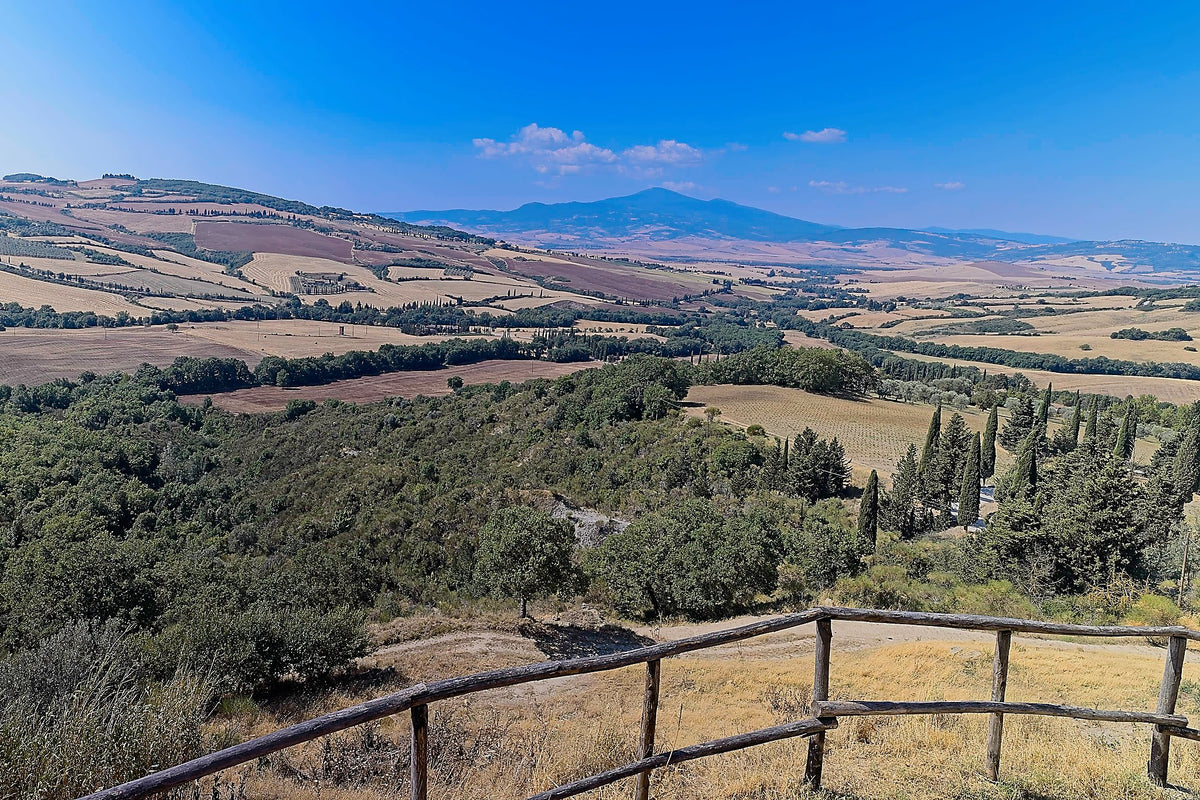 Cypresses along a track seen from a vantage above the Val d'Orcia, ridge behind ridge to Monte Amiata